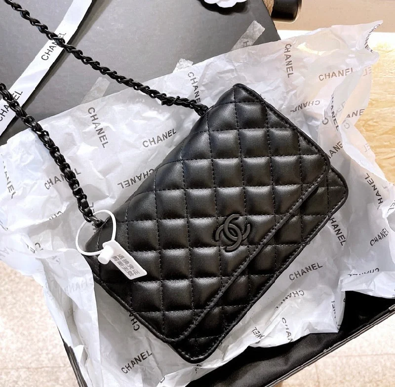 CHANEL handbags with polished finishes -Chanel ladies handbag