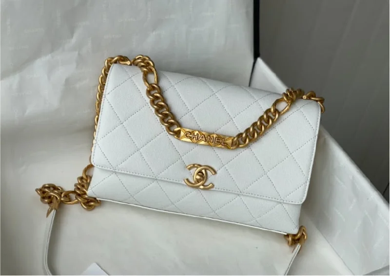 CHANEL bags with chic, polished finishes -New 2022 Chanel woman Handbag